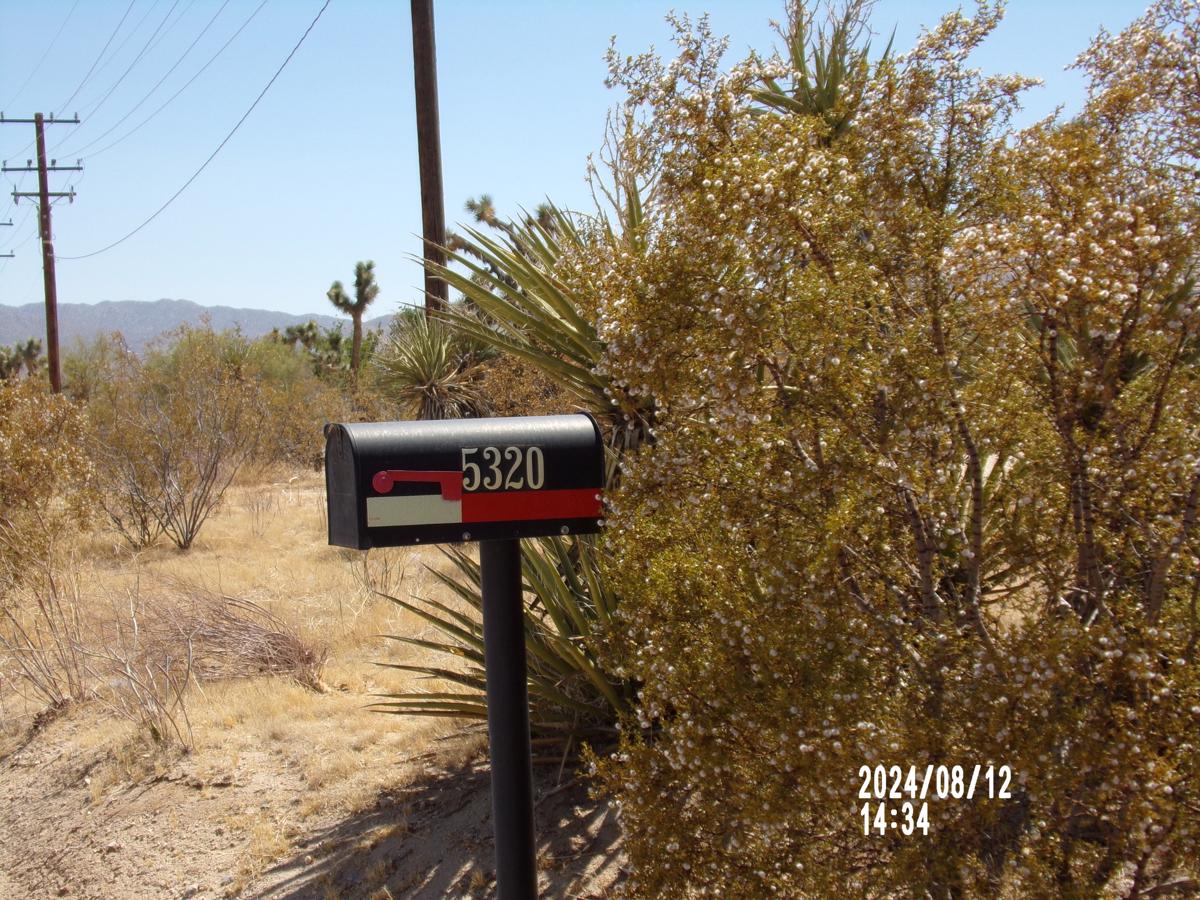 Photo of 5320-yucca-mesa-rd-yucca-valley-ca-92284