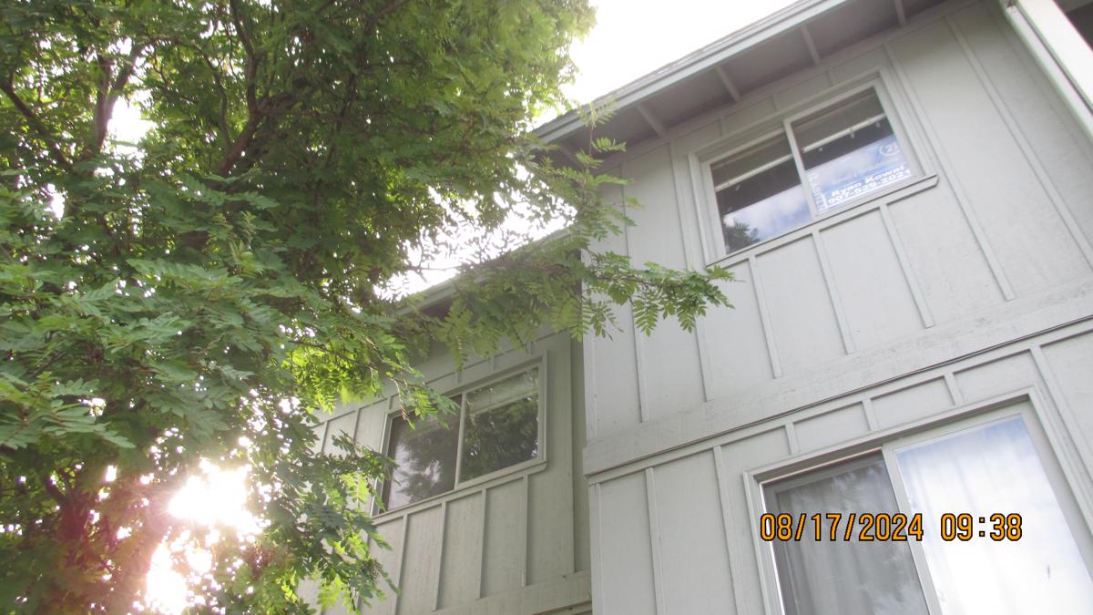 Photo of 1843-e-tudor-rd-f-301-anchorage-ak-99507