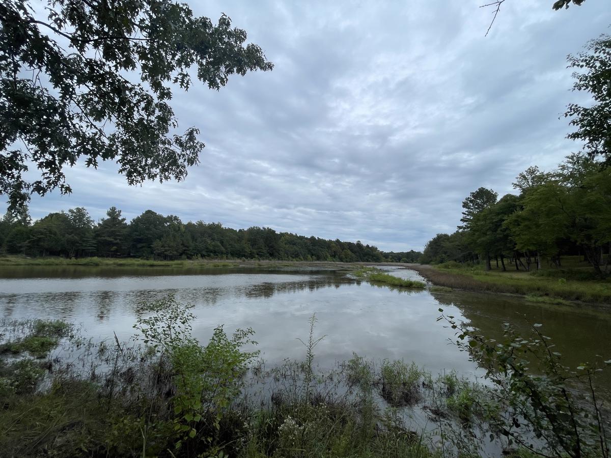 Photo of 1020-lone-oak-rd-west-point-ms-39773