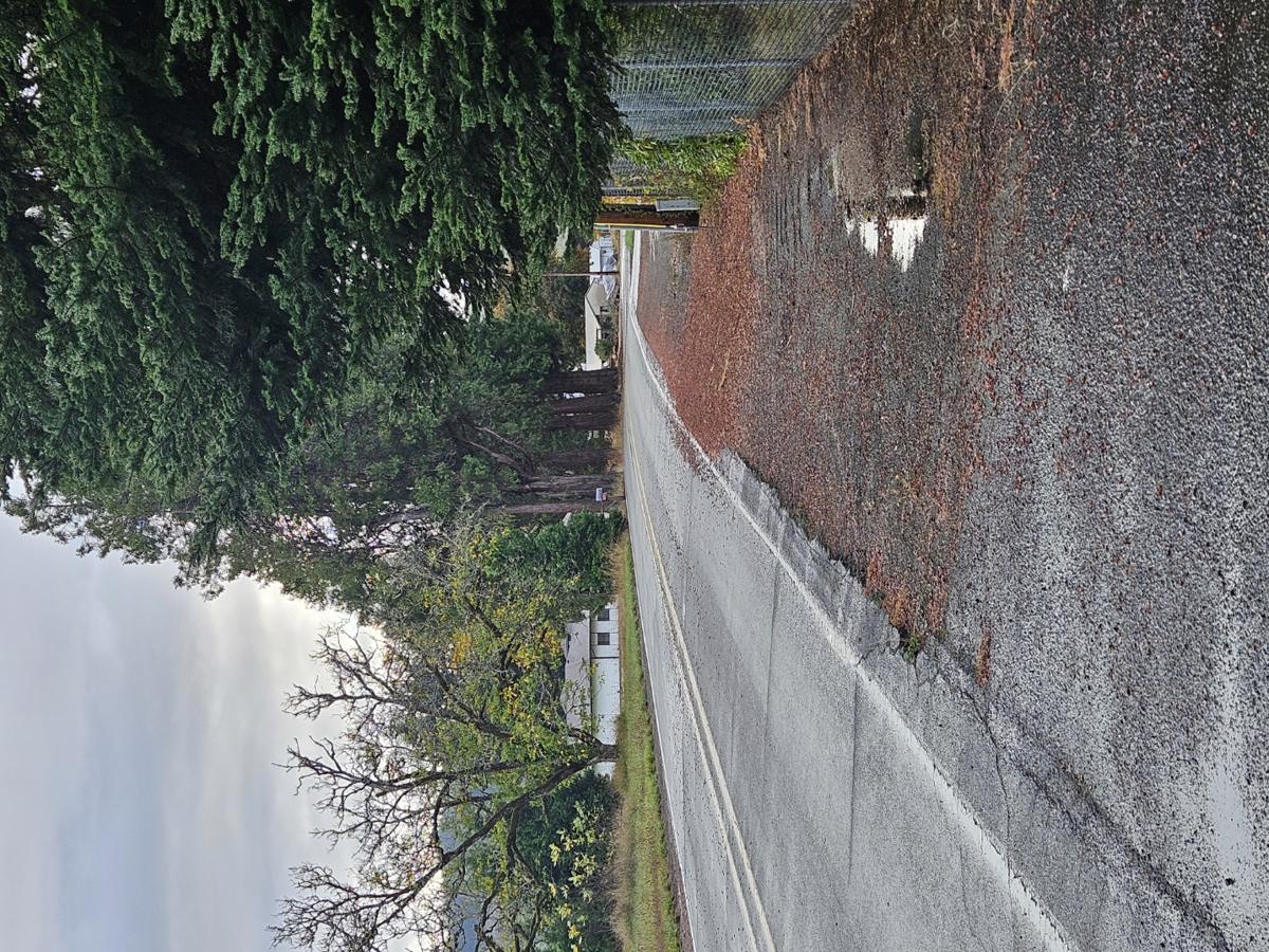 Photo of 1804-wild-river-drive-roseburg-or-97470