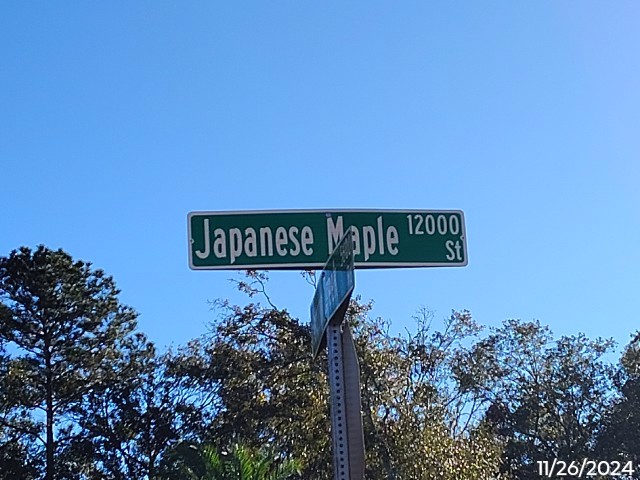 Photo of 12044-japanese-maple-st-jacksonville-fl-32218