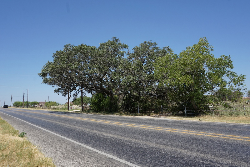 Photo of 8935s-fm-2790-w-somerset-tx-78069