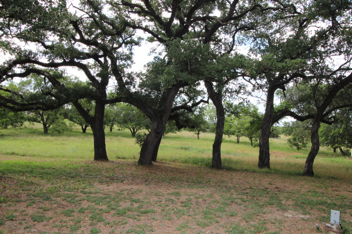 Photo of 1411-taylor-st-lampasas-tx-76550