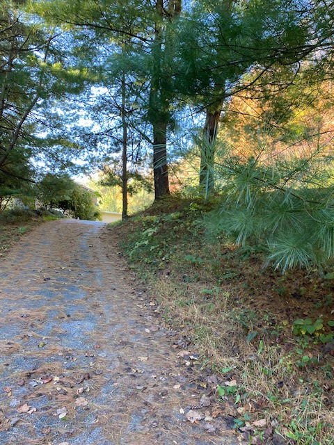 Photo of 1839-narrows-branch-hardy-ky-41531