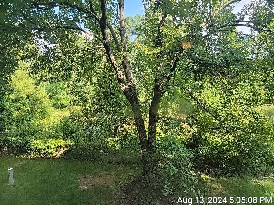 Photo of 8-fallen-tree-ct-c-halethorpe-md-21227