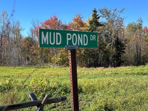 Photo of 11-mud-pond-drive-harmony-me-04942