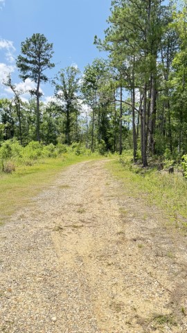 Photo of 200-jac-rd-leesville-la-71446