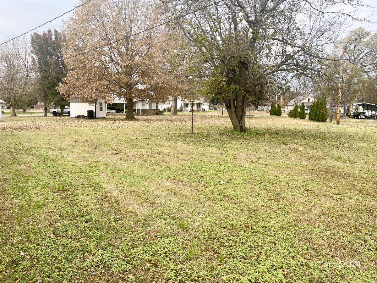 Photo of 305-s-thirteenth-st-obion-tn-38240