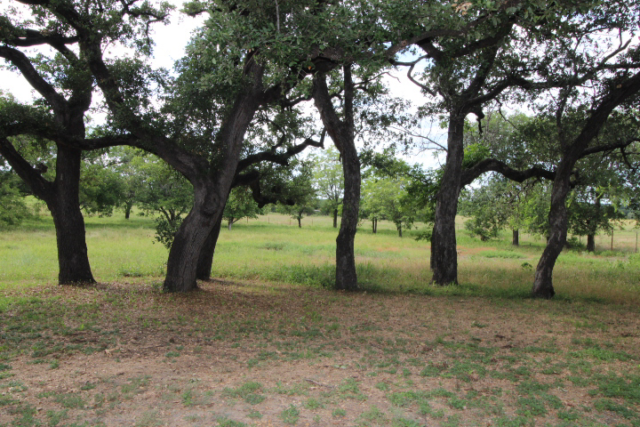 Photo of 1411-taylor-st-lampasas-tx-76550