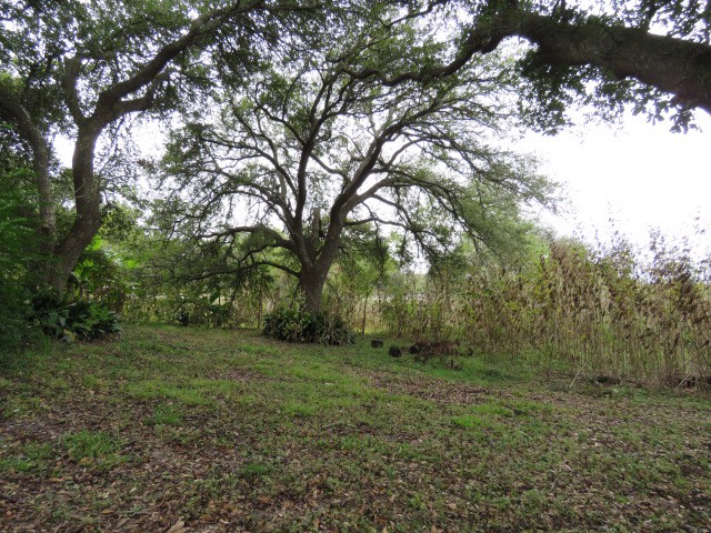 Photo of 1461-weeks-ave-high-island-tx-77623