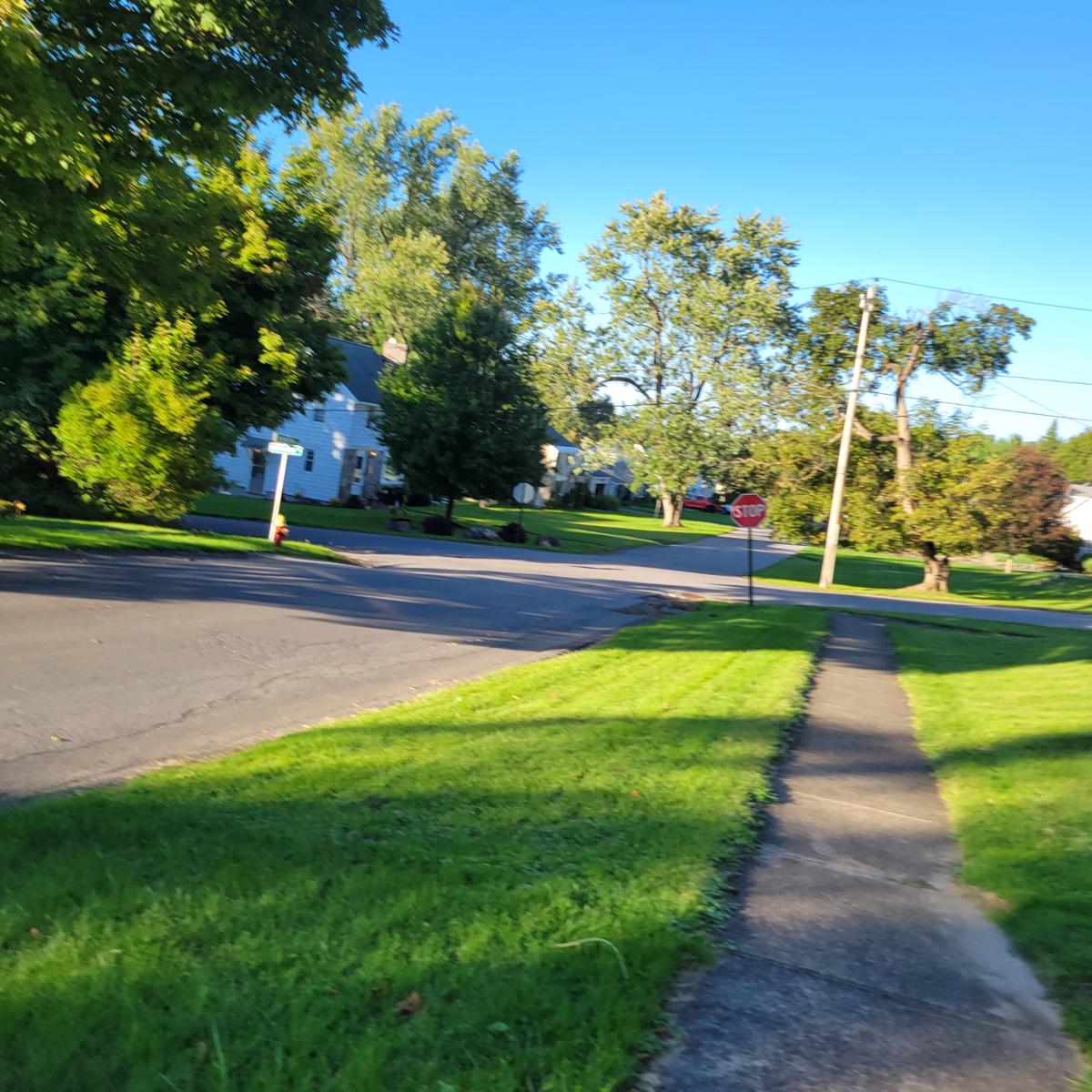 Photo of 31-arlington-terrace-utica-ny-13501