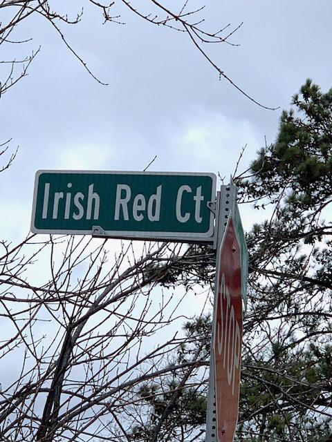 Photo of 4630-irish-red-ct-union-city-ga-30291