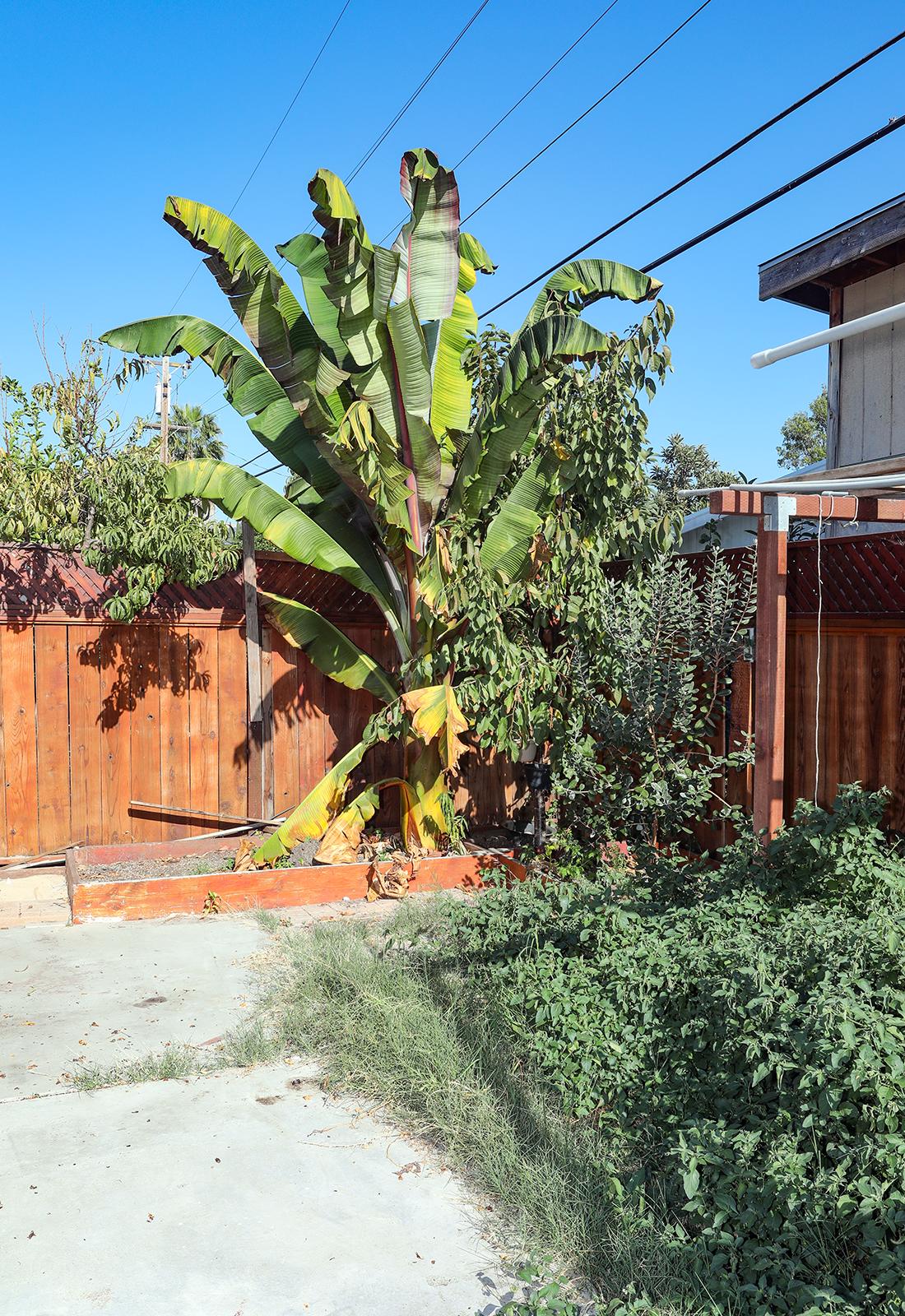 Photo of 3274-vernice-ave-san-jose-ca-95127