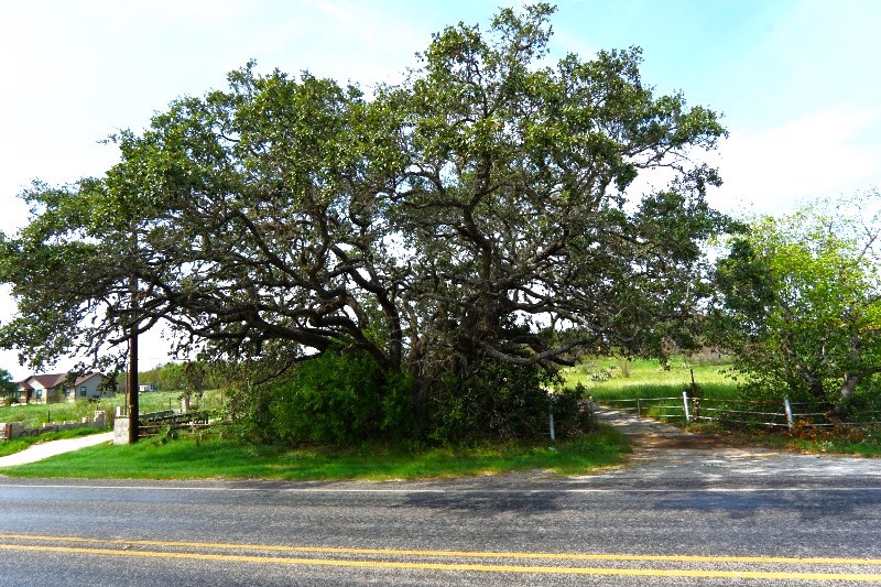 Photo of 8935s-fm-2790-w-somerset-tx-78069