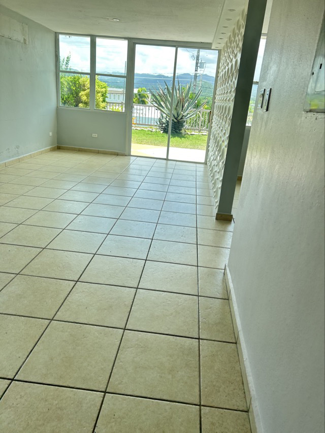 Photo of 37-santa-lucia-st-las-fuentes-de-coamo-coamo-pr-00769