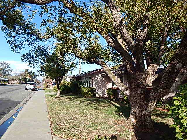 Photo of 700-pacific-ave-willows-ca-95988