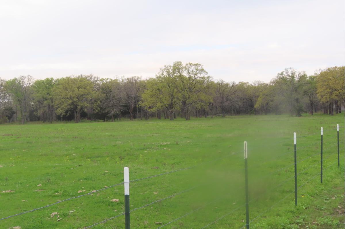 Photo of 8464-county-rd-4076-scurry-tx-75158
