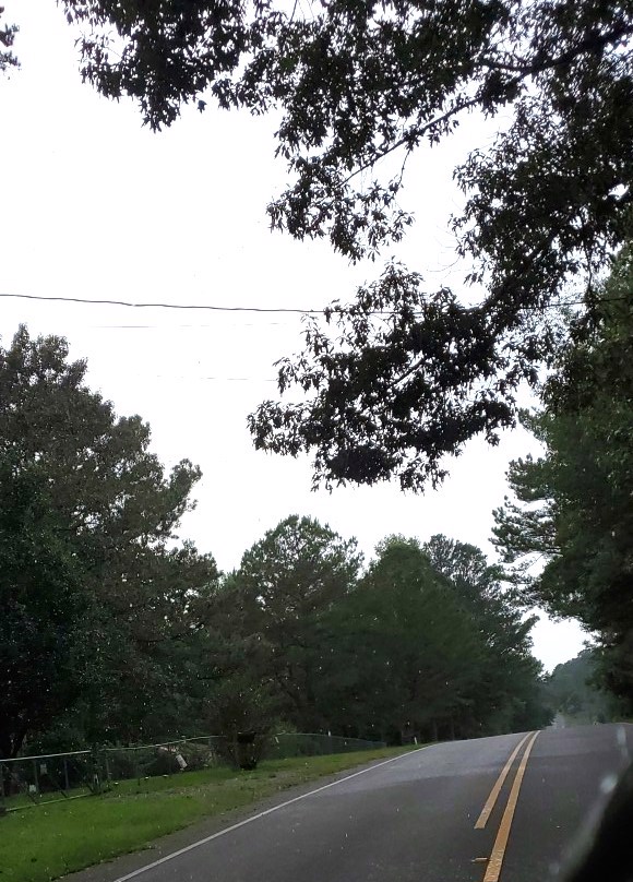 Photo of 18524-highway-140-elrod-al-35458