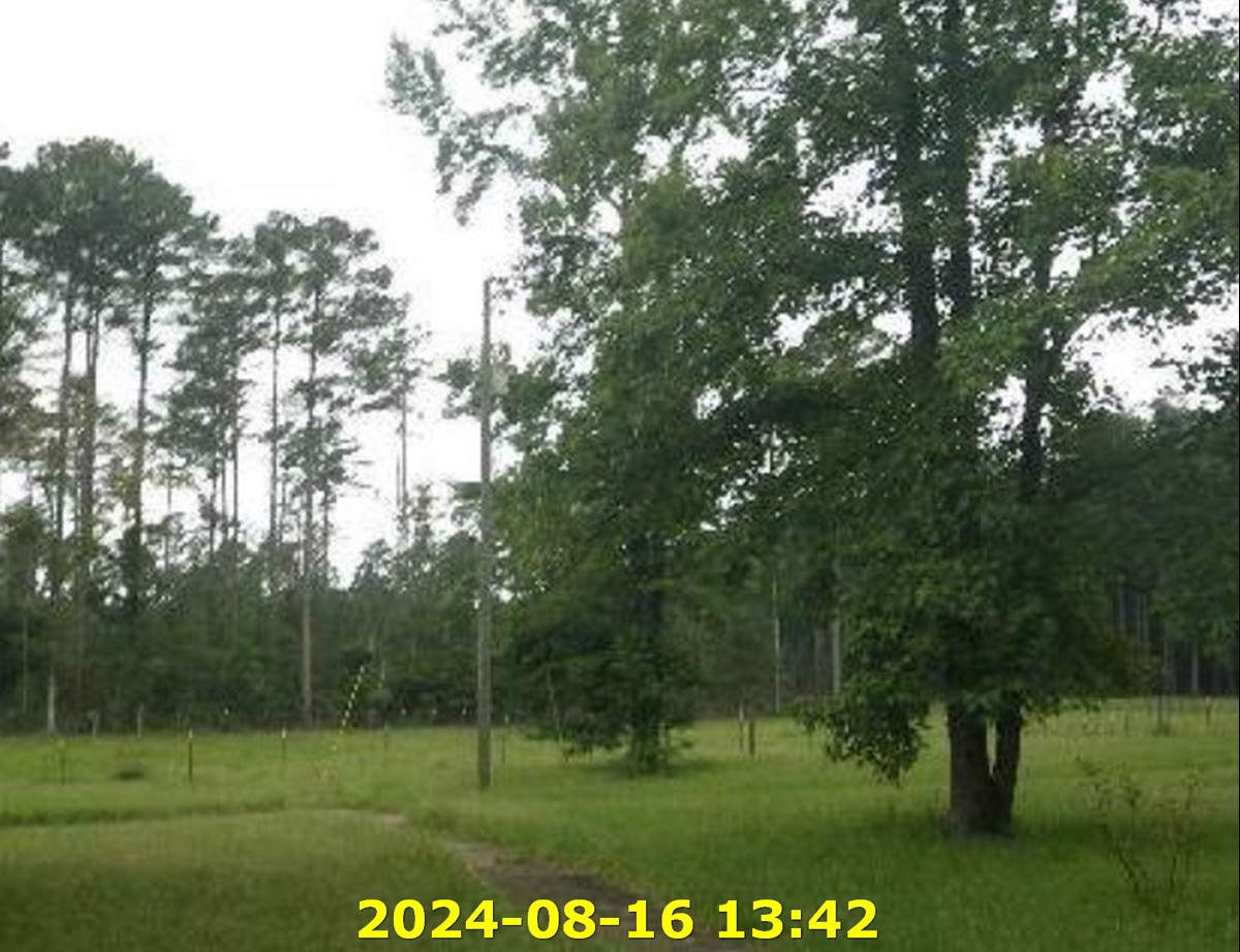 Photo of 13601-hwy-13-north-lena-ms-39094