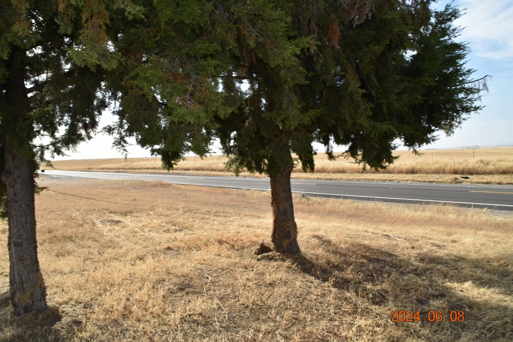 Photo of 36404-highway-145-madera-ca-93636