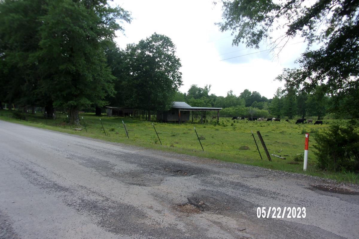Photo of 2985-county-rd-284-courtland-al-35618