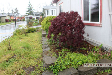 Photo of 27422-149th-ave-se-kent-wa-98042