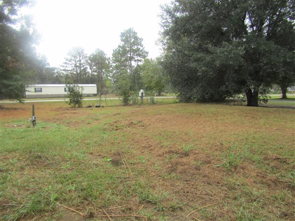 Photo of 25-cutter-gap-se-ludowici-ga-31316