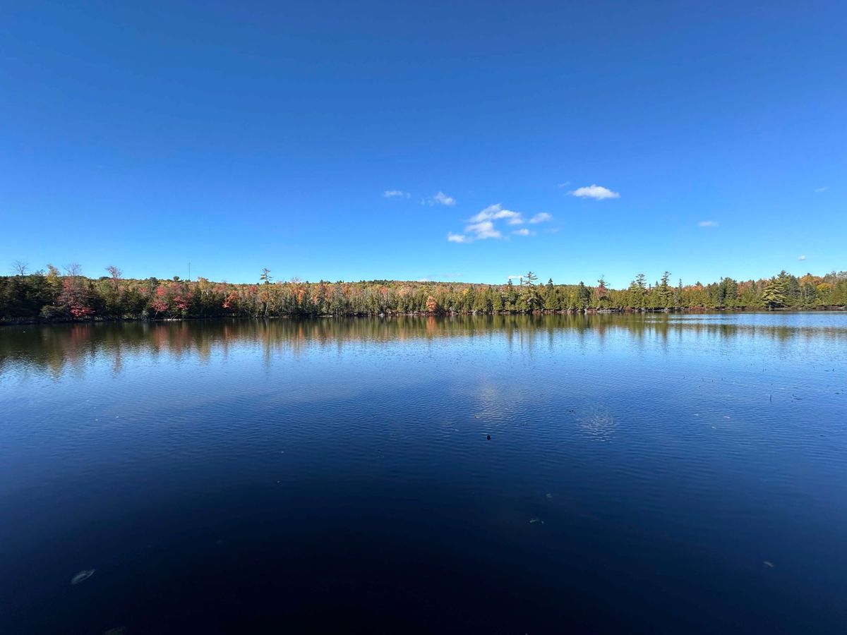 Photo of 11-mud-pond-drive-harmony-me-04942